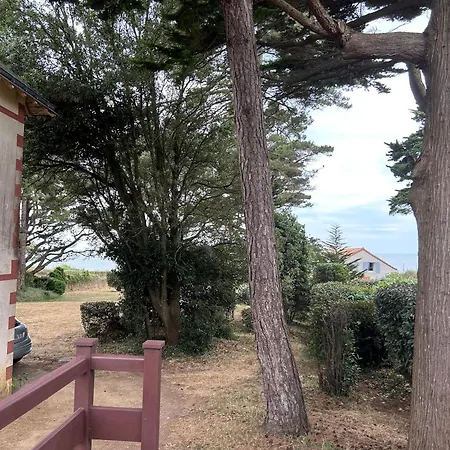 Evasion Marine 11Jos * بورنيك