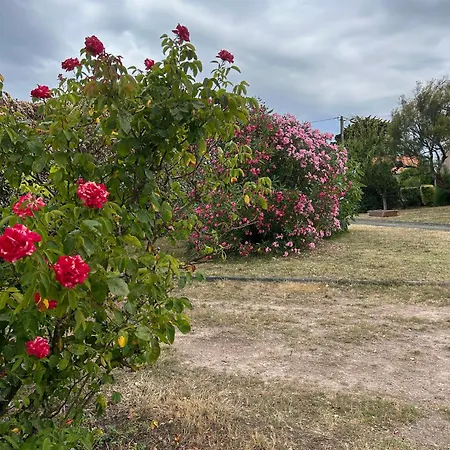 Evasion Marine 11Jos